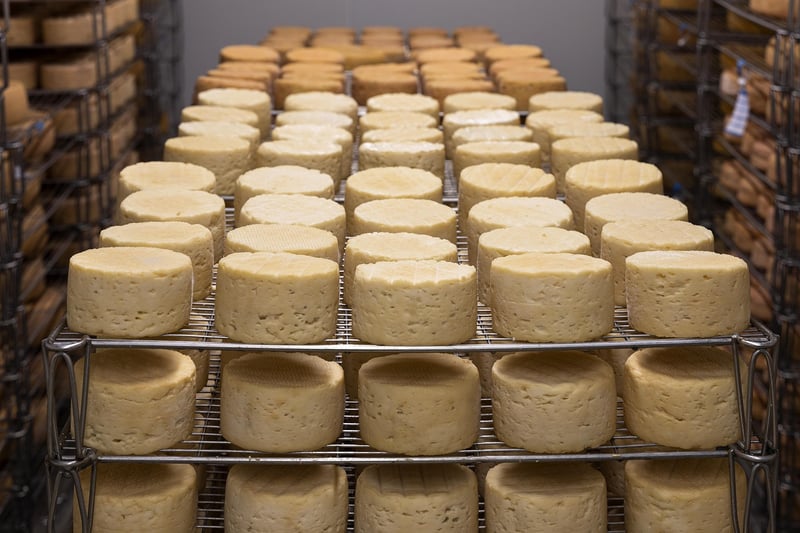 Fermentation